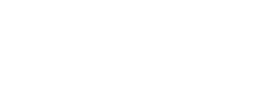 Revelmarks™